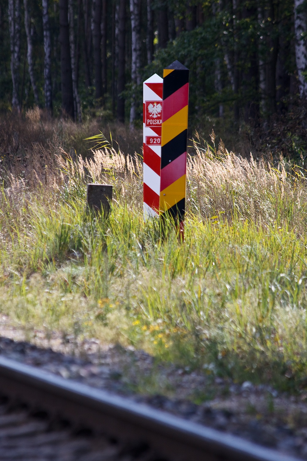 W cieniu przeszłości