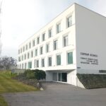 Fundacja się podzieli