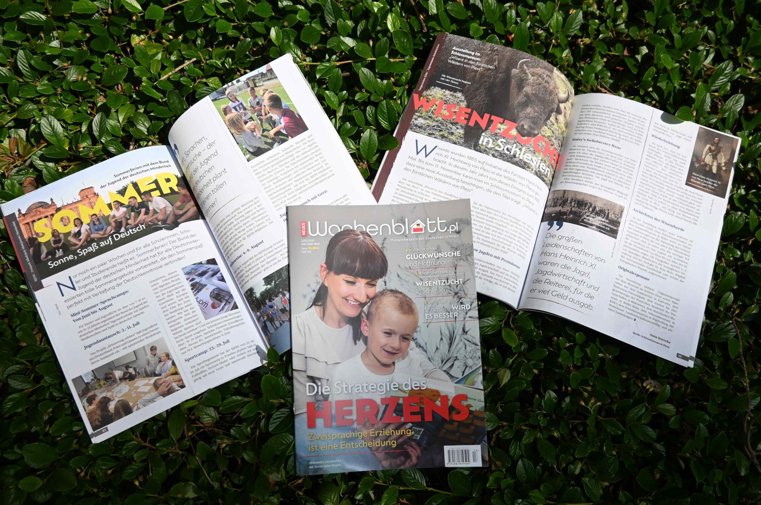 Sprawdzone – w nowej odsłonie: Zasubskrybuj Neues Wochenblatt.pl