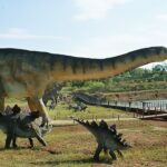 Nasz samorząd: Powiat Opolski wspiera sportową inicjatywę