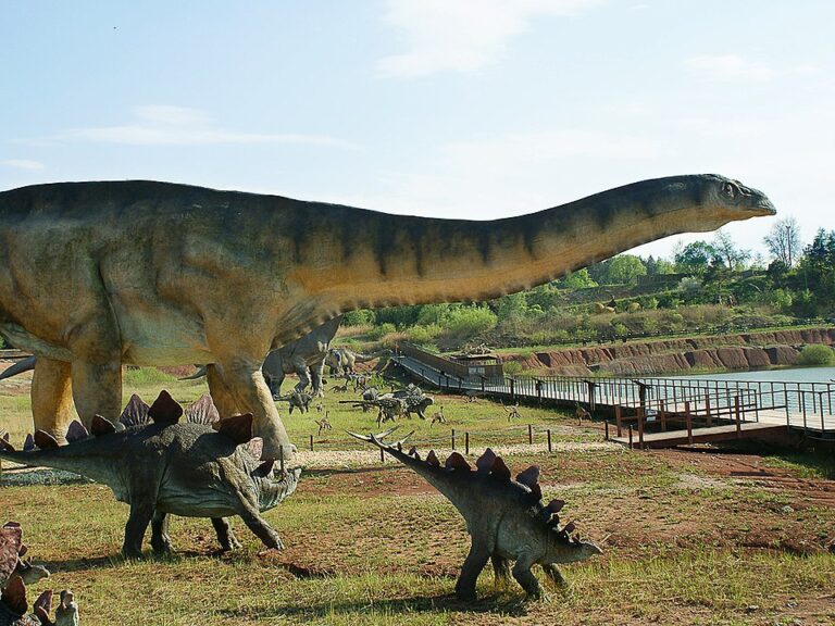 Nasz samorząd: Powiat Opolski wspiera sportową inicjatywę