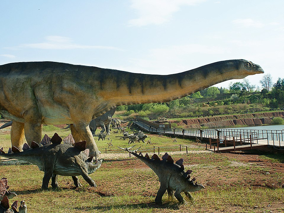 Nasz samorząd: Powiat Opolski wspiera sportową inicjatywę