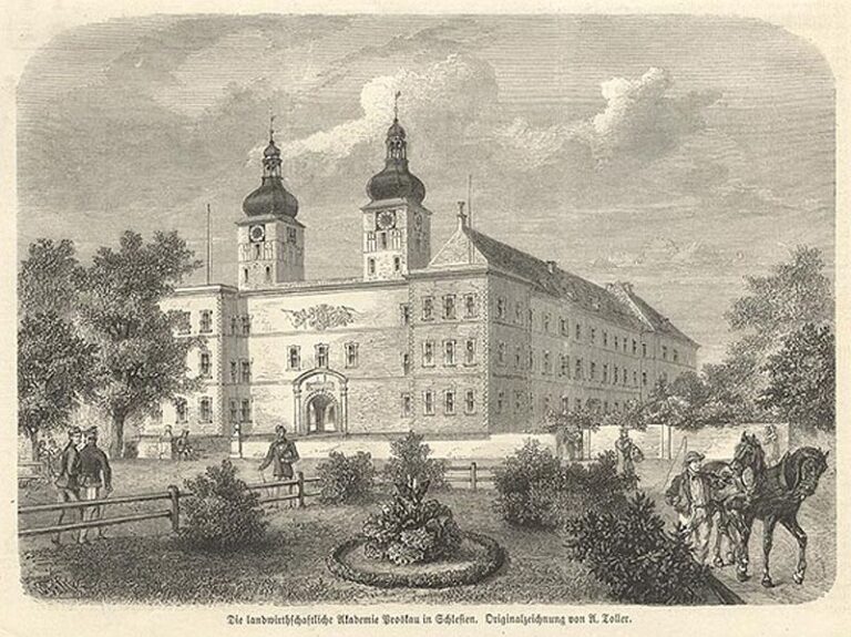 Gdy Śląsk uczył Europę