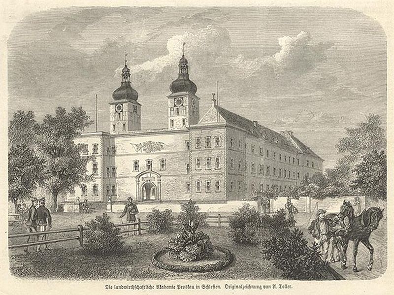 Gdy Śląsk uczył Europę