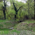 Zapomniane dziedzictwo