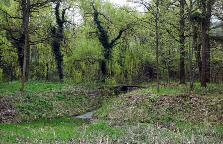 Zapomniane dziedzictwo