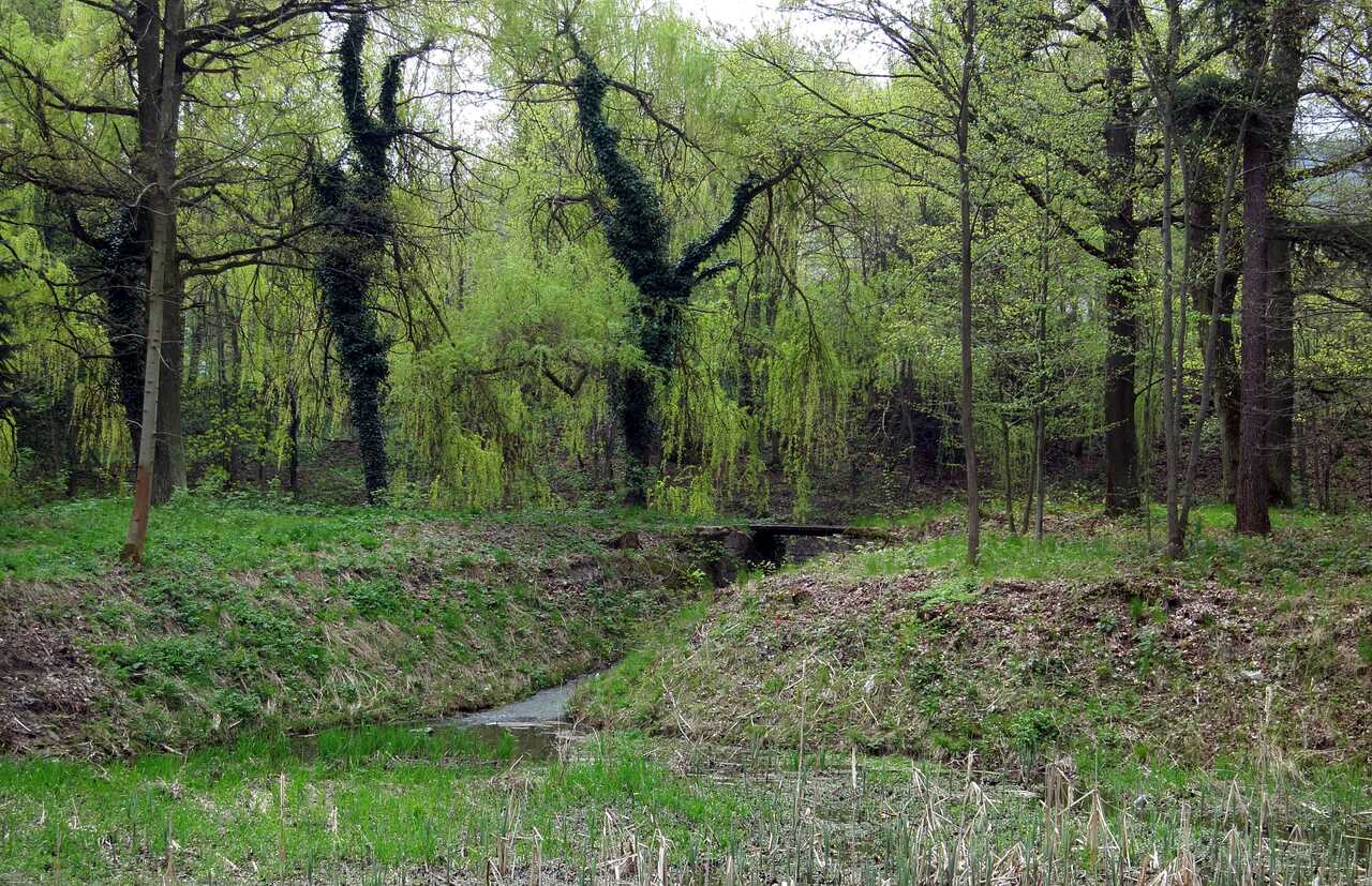 Zapomniane dziedzictwo