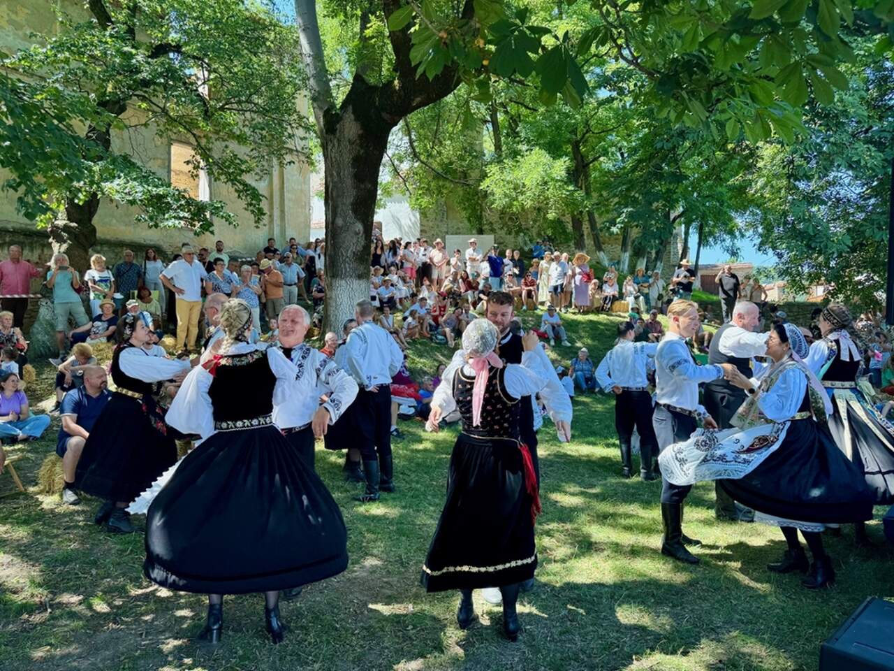 Deutsche Minderheiten in Europa