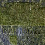 Kolumna: Czy można wymazać język?