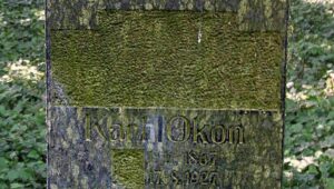 Kolumna: Czy można wymazać język?