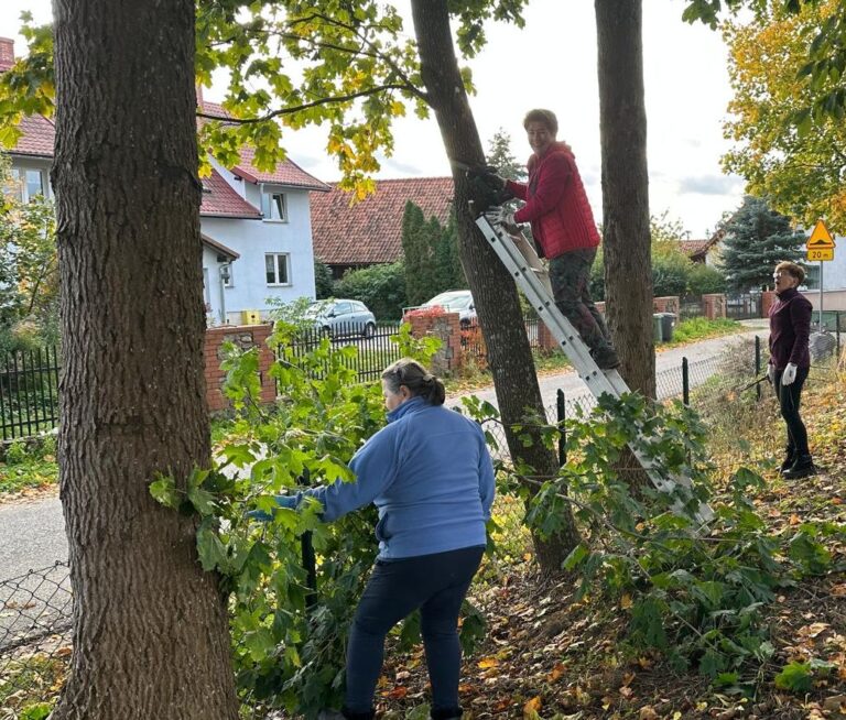 Trzech muszkieterów od brudnej roboty