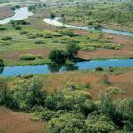 Uwsteczniające weto