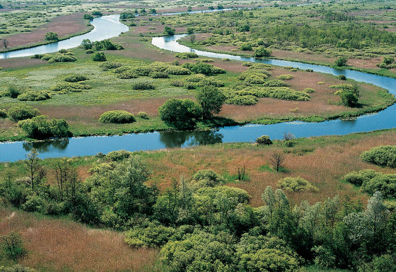 Uwsteczniające weto