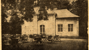 Prawdziwe śląskie kąski: Co jadano na książęcym stole w Pokoju