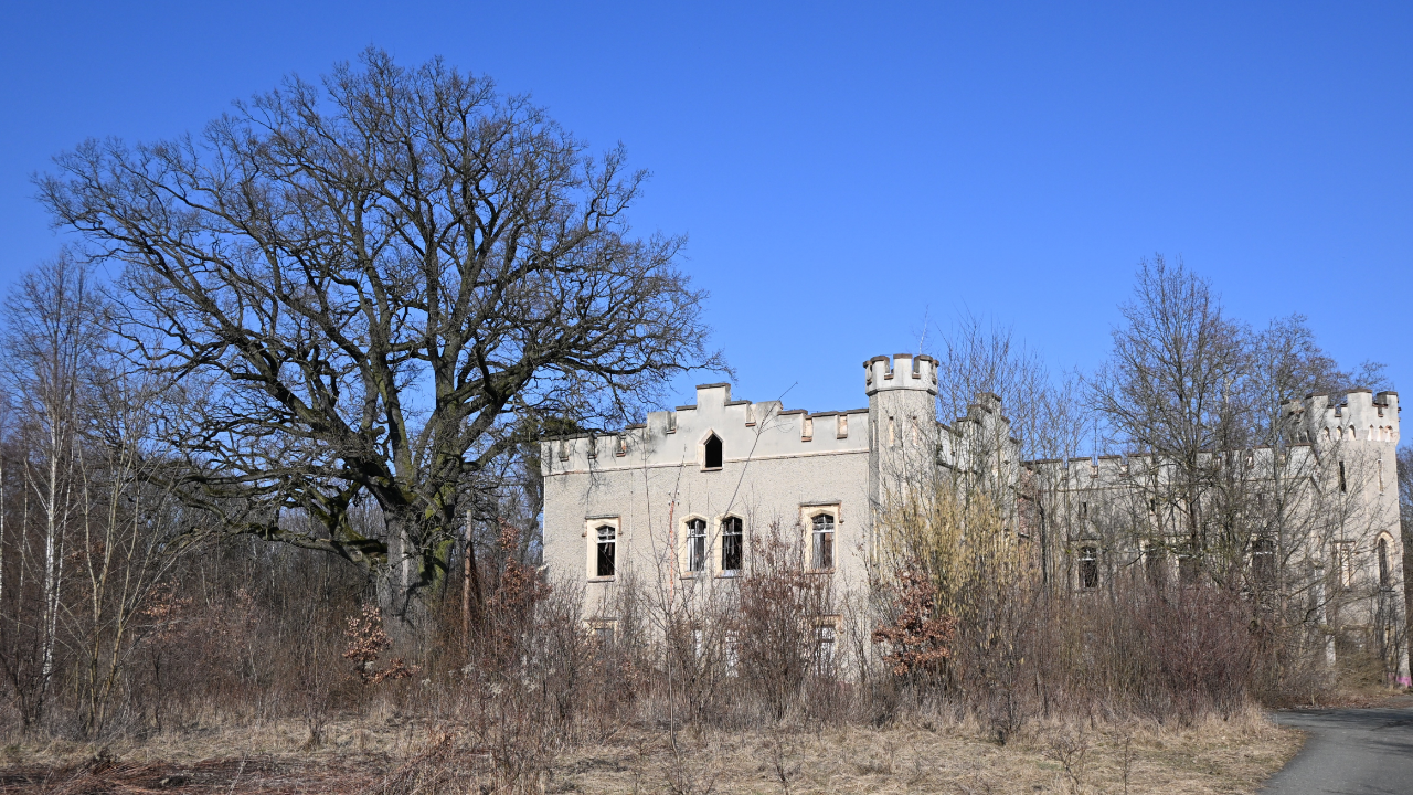Prawdziwe śląskie kąski: Śląski Windsor od kuchni