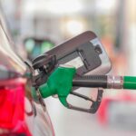 Neues aus dem Vaterland