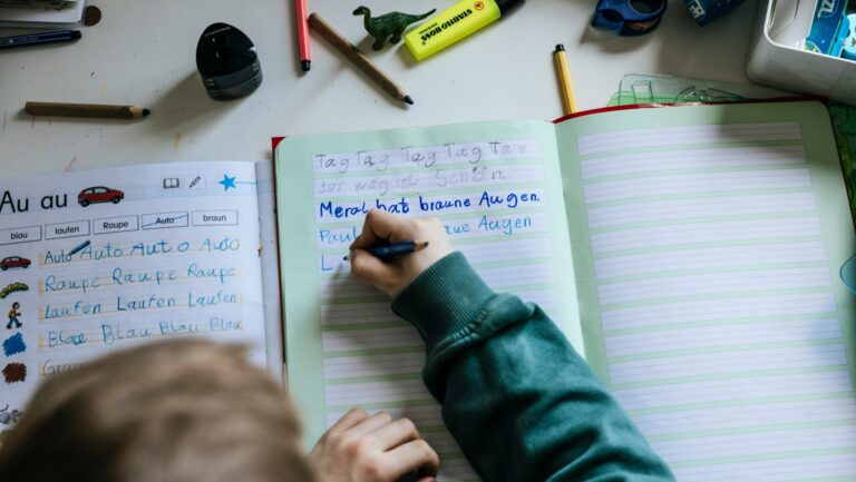 Strategie der Spracharbeit der Deutschen Minderheit – Konsultationen zum Dokument laufen