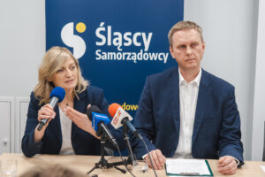 Profesjonalizacja działań