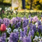 Glosa: Obowiązkowa runda ogrodowa