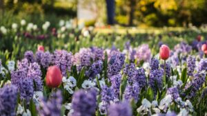 Glosse: Der obligatorische Gartenrundgang