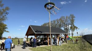 Maibaum in Rosnochau
