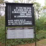Teil 2: Die Hölle von Lamsdorf und der Verlust der Heimat