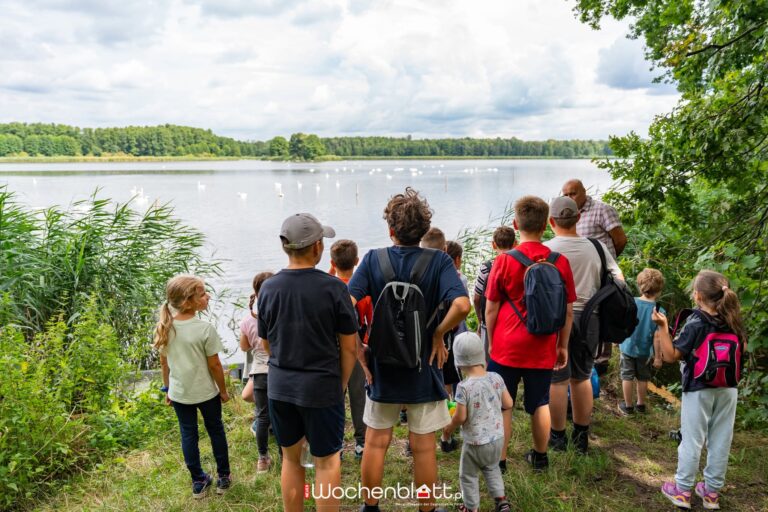 Die kleine Heimat in den Ferien entdecken