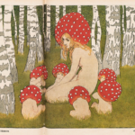 Wenn der Schlesier in den Wald zieht – Pilze, Platten und ein glückliches Händchen