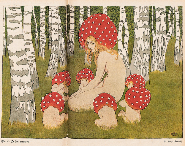 Wenn der Schlesier in den Wald zieht – Pilze, Platten und ein glückliches Händchen